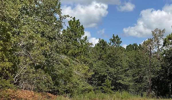 54.9 Acres of Land for Sale in Aiken, South Carolina