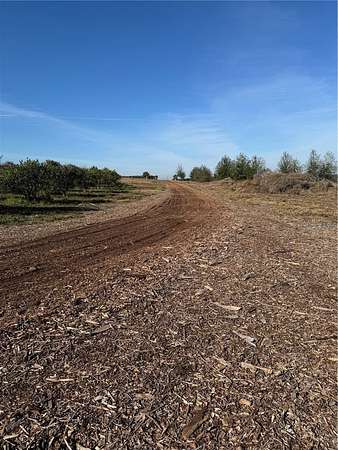 20 Acres of Land for Sale in Leesburg, Florida