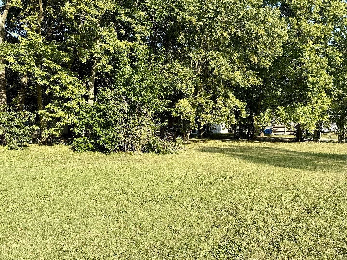 Land for Sale in Newman, Illinois