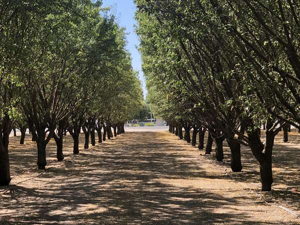 5 Acres of Residential Land for Sale in Exeter, California