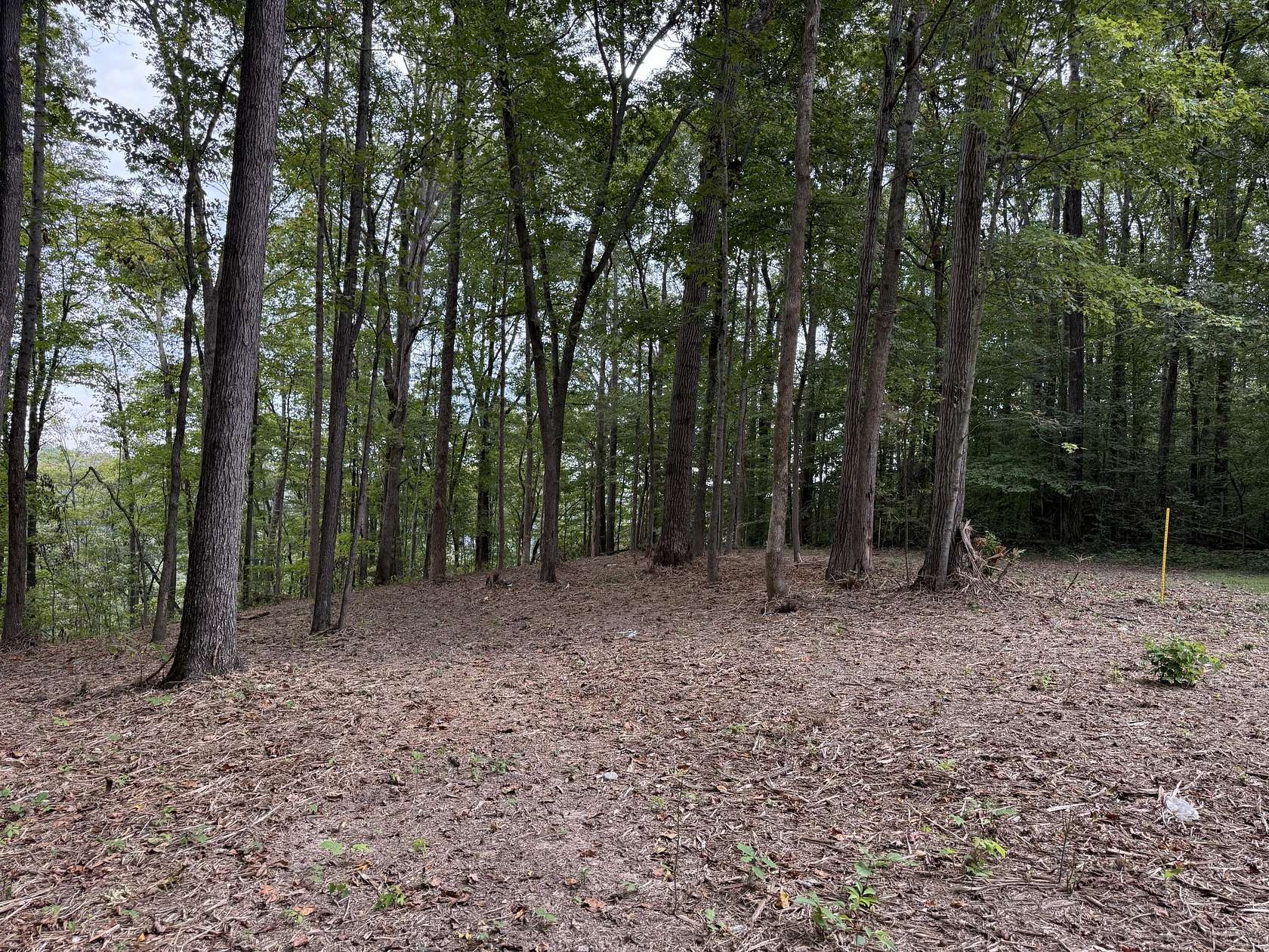 0.99 Acres of Land for Sale in Russell Springs, Kentucky