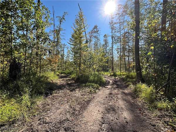 14 Acres of Land for Sale in Jefferson, Ohio