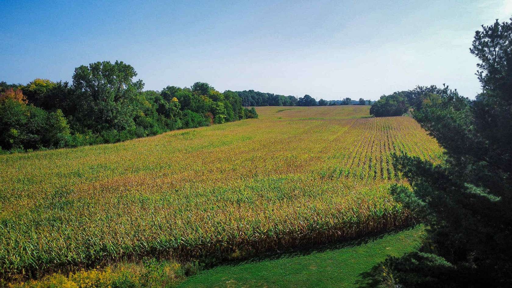 80 Acres of Agricultural Land with Home for Sale in Eau Claire, Michigan