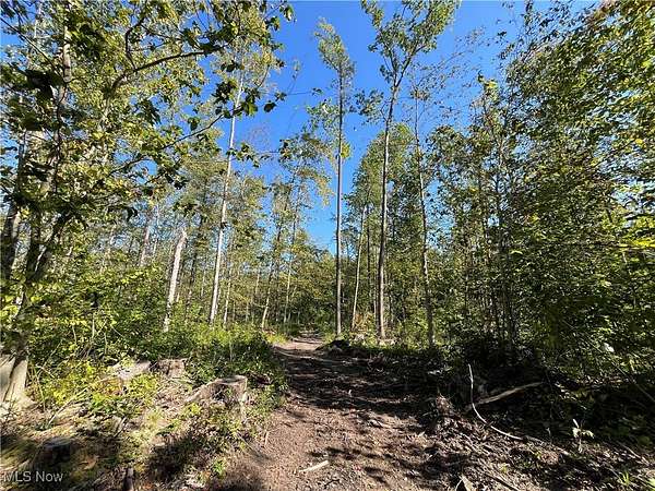 14 Acres of Land for Sale in Jefferson, Ohio