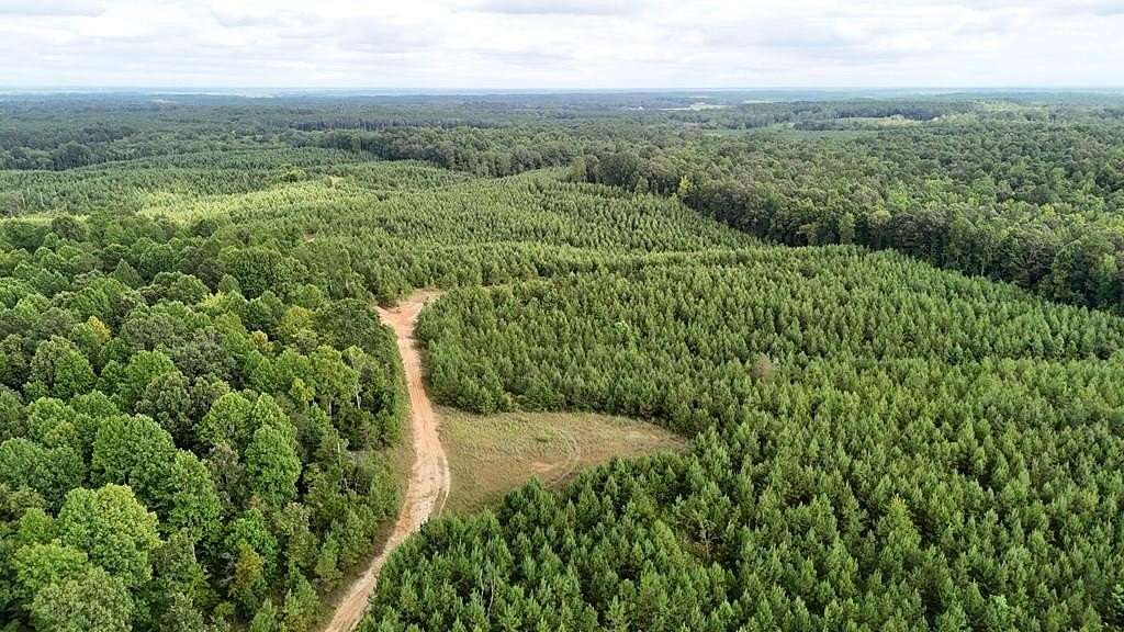 219 Acres of Recreational & Residential Land for Sale in Booneville, Mississippi