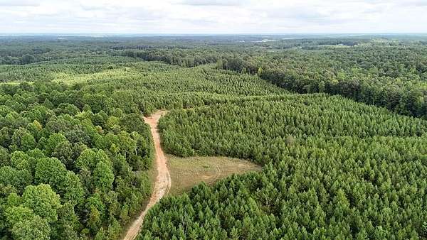 219 Acres of Recreational & Residential Land for Sale in Booneville, Mississippi