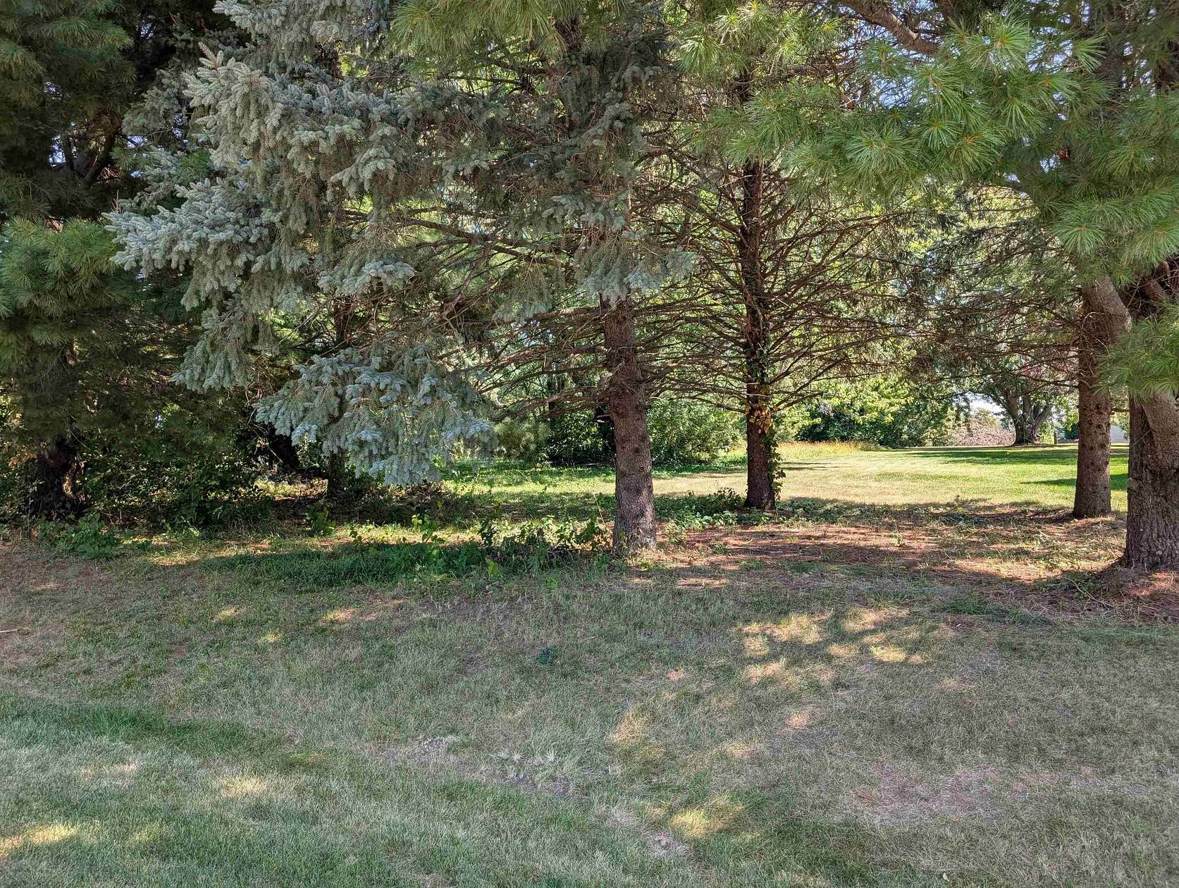 0.4 Acres of Land for Sale in Lake Summerset, Illinois
