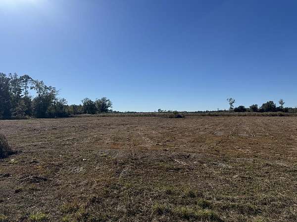 3 Acres of Residential Land for Sale in Wewahitchka, Florida