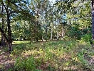 3 Acres of Residential Land for Sale in Opelika, Alabama