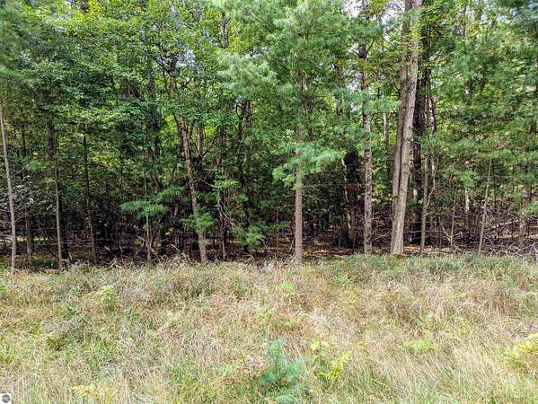 0.28 Acres of Land for Sale in Alger, Michigan