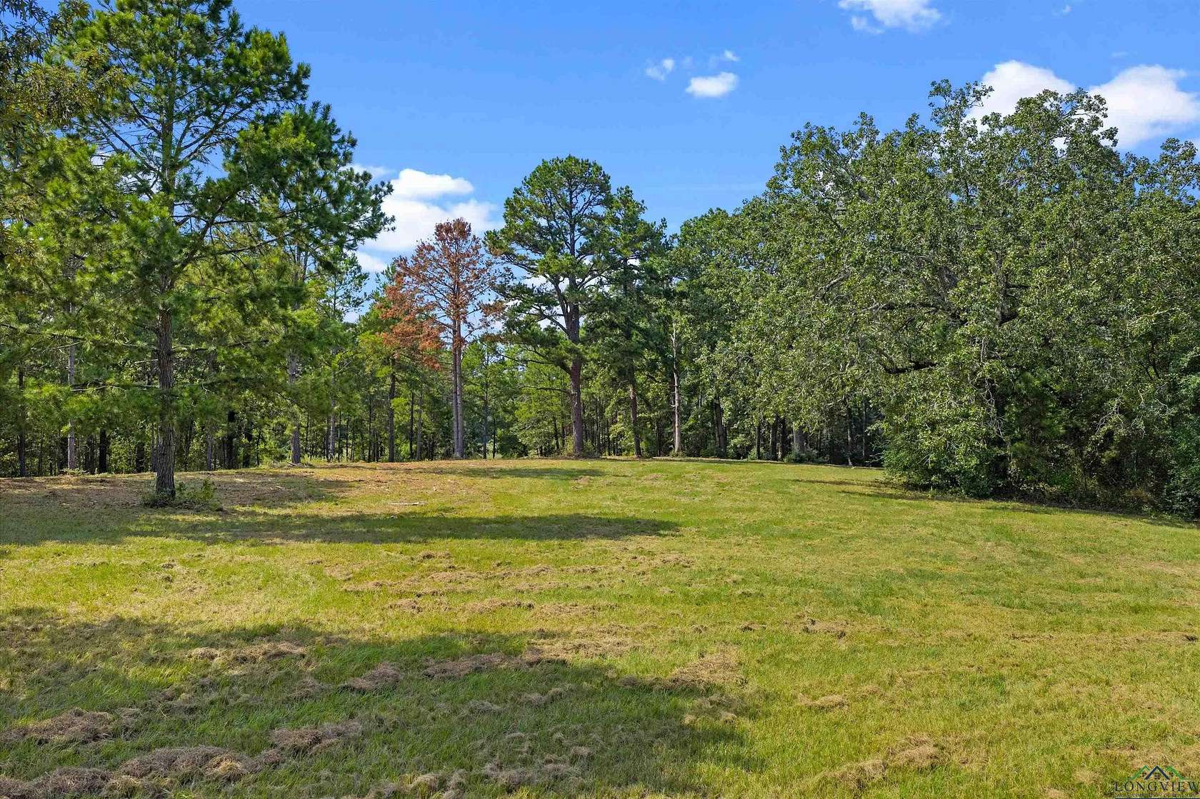 5 Acres of Land for Sale in Diana, Texas