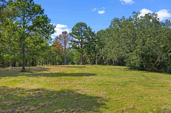 5 Acres of Land for Sale in Diana, Texas