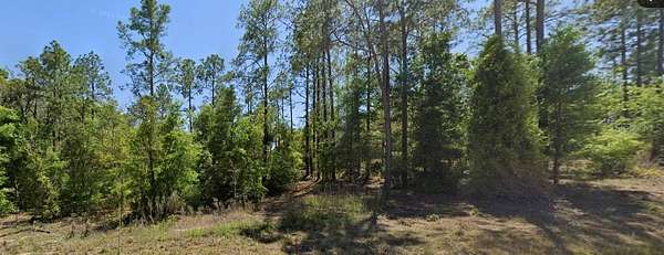 1.25 Acres of Residential Land for Sale in Williston, Florida