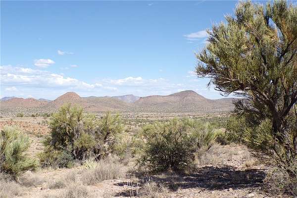 38.4 Acres of Recreational Land for Sale in Kingman, Arizona