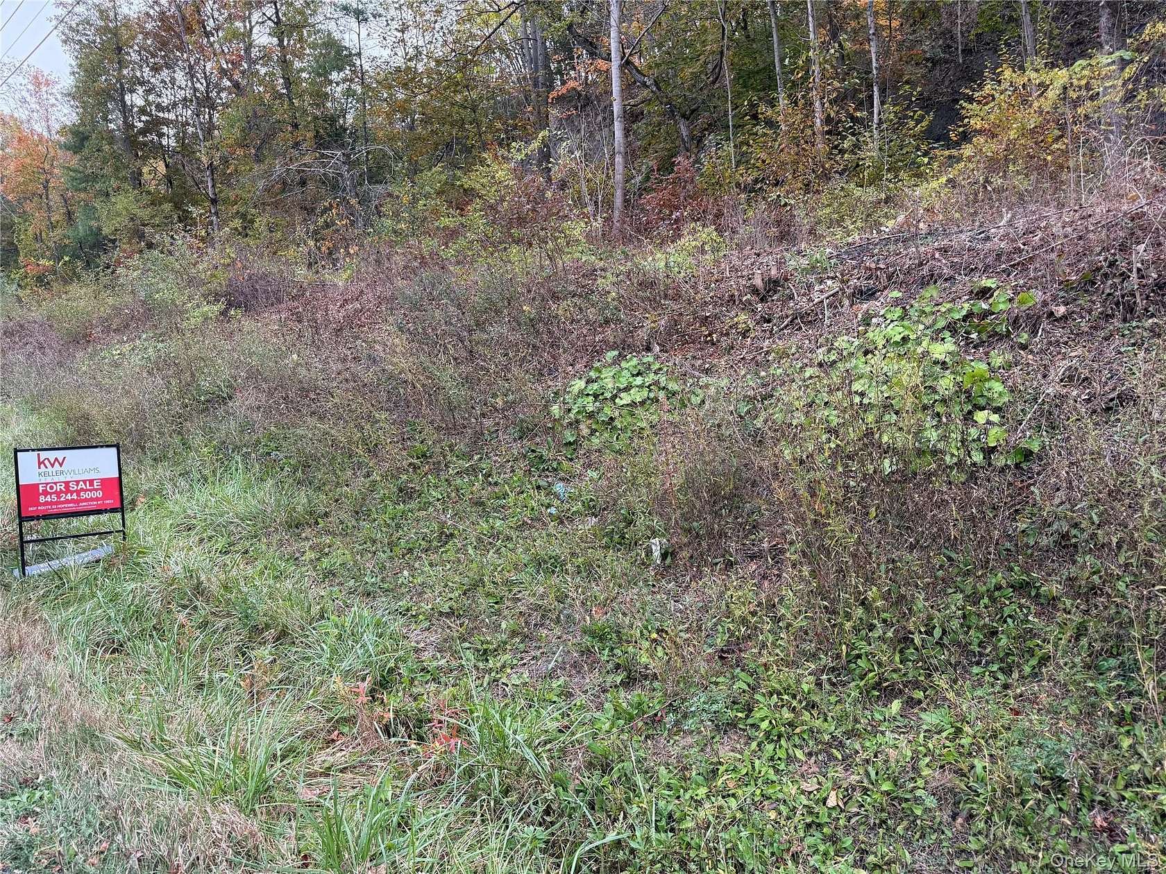 1 Acre of Mixed-Use Land for Sale in Saugerties, New York