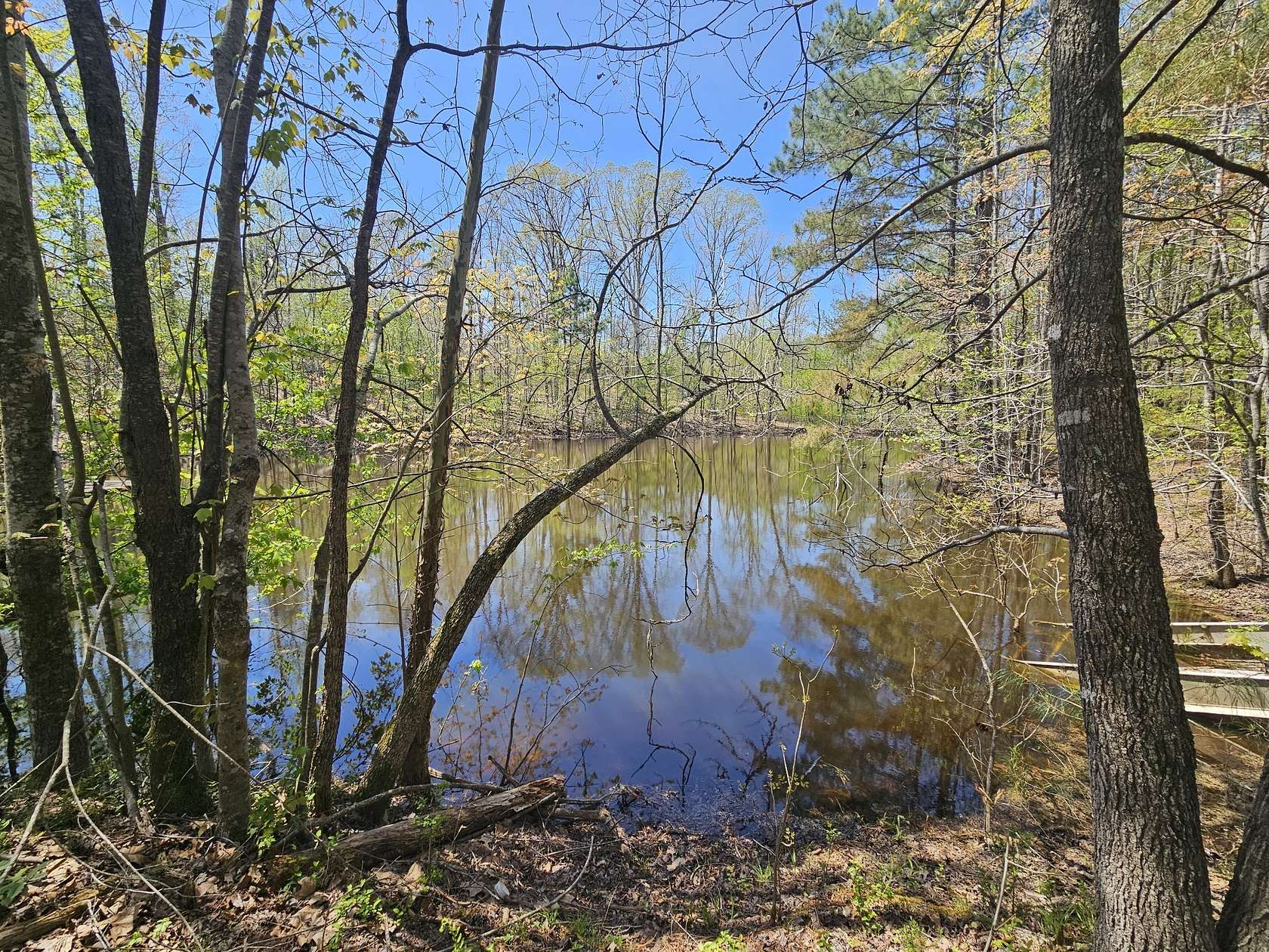 5.74 Acres of Land for Sale in Parsons, Tennessee