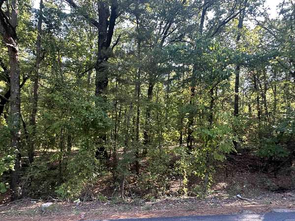 15.5 Acres of Land for Sale in Star City, Arkansas