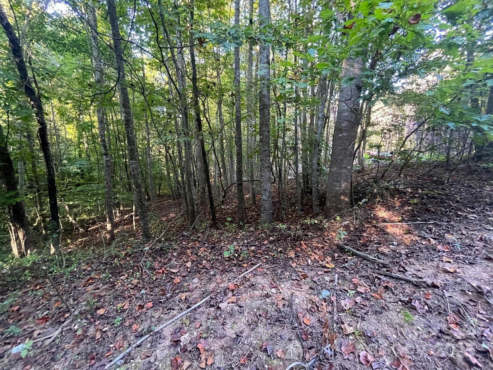 2 Acres of Residential Land for Sale in Marion, North Carolina