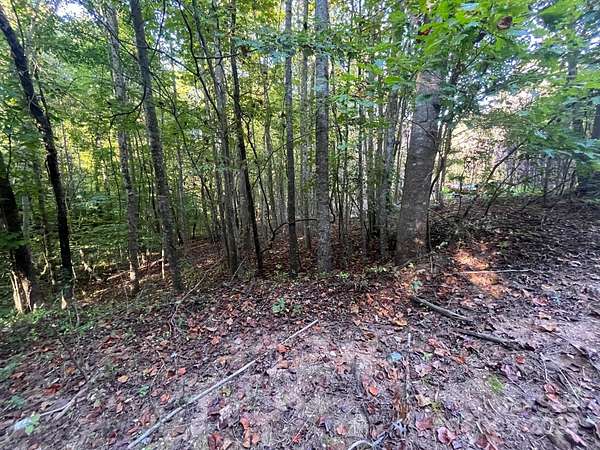 2 Acres of Residential Land for Sale in Marion, North Carolina