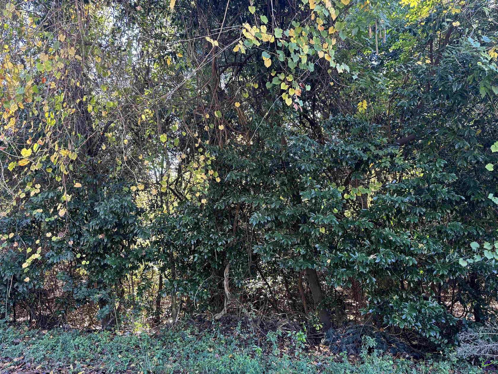 0.21 Acres of Residential Land for Sale in Warner Robins, Georgia