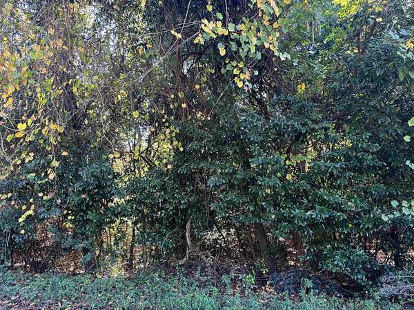 0.21 Acres of Residential Land for Sale in Warner Robins, Georgia