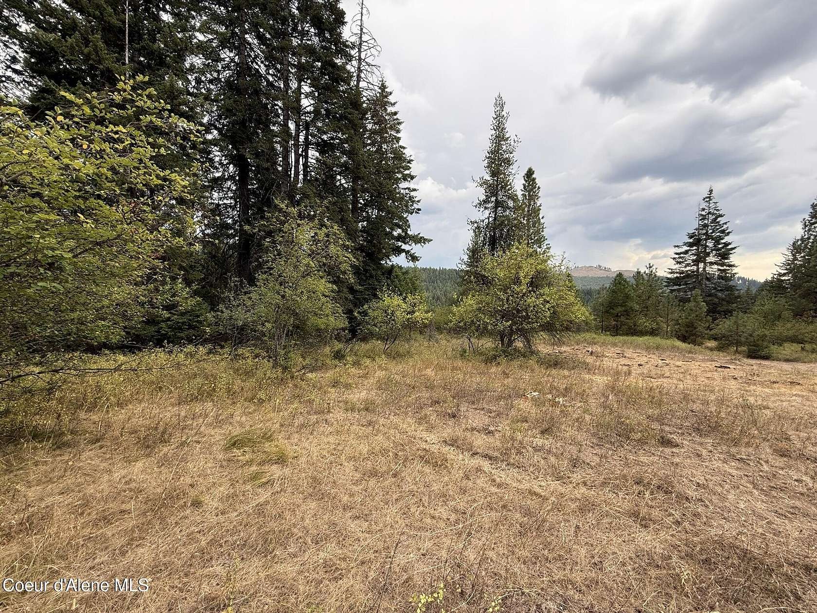 5 Acres of Residential Land for Sale in Santa, Idaho
