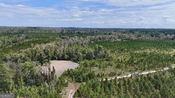181 Acres of Recreational Land for Sale in Hazlehurst, Georgia