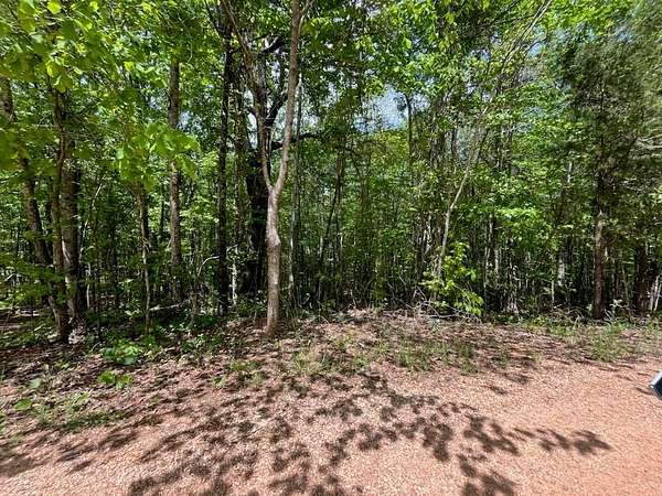 1 Acre of Land for Sale in Waverly, Alabama