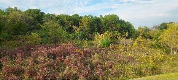 13 Acres of Recreational Land for Sale in Black Brook Town, Wisconsin
