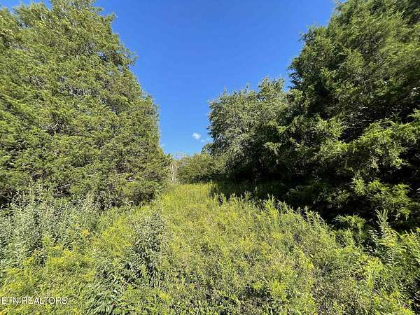 30.5 Acres of Recreational Land for Sale in Tazewell, Tennessee