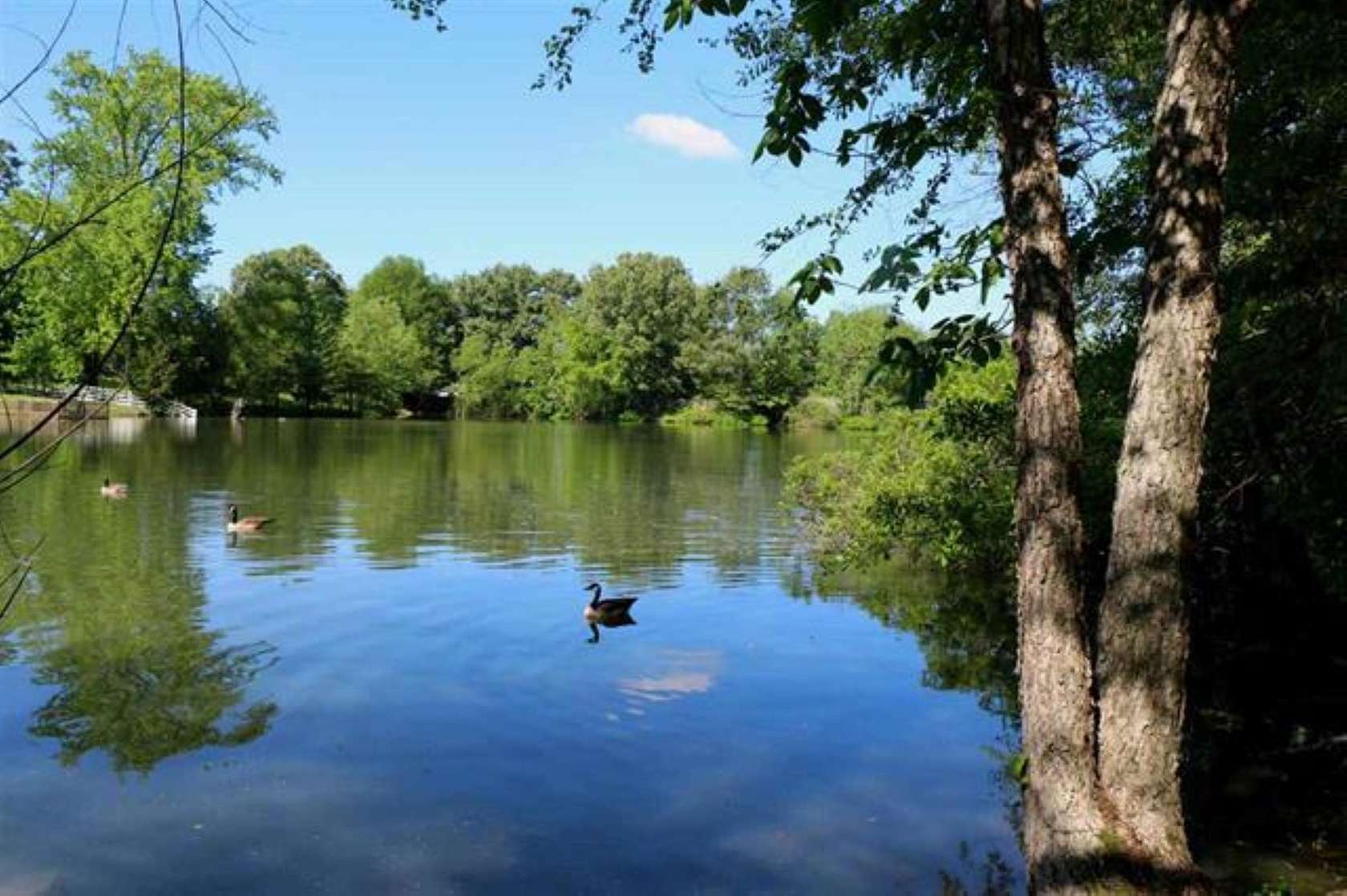 7.84 Acres of Mixed-Use Land for Sale in Memphis, Tennessee