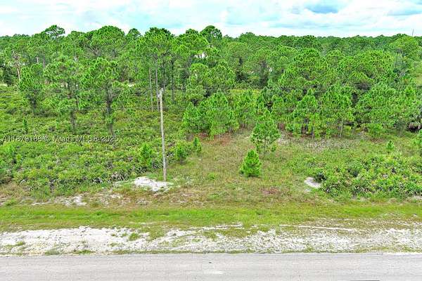0.23 Acres of Residential Land for Sale in Lehigh Acres, Florida