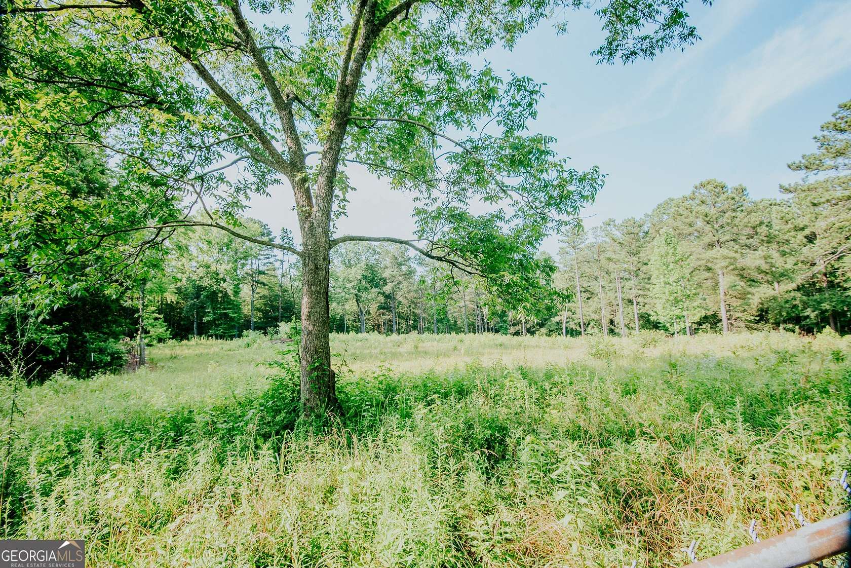 20 Acres of Land for Sale in Franklin, Georgia