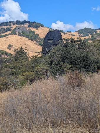 20 Acres of Recreational & Residential Land for Sale in Leggett, California