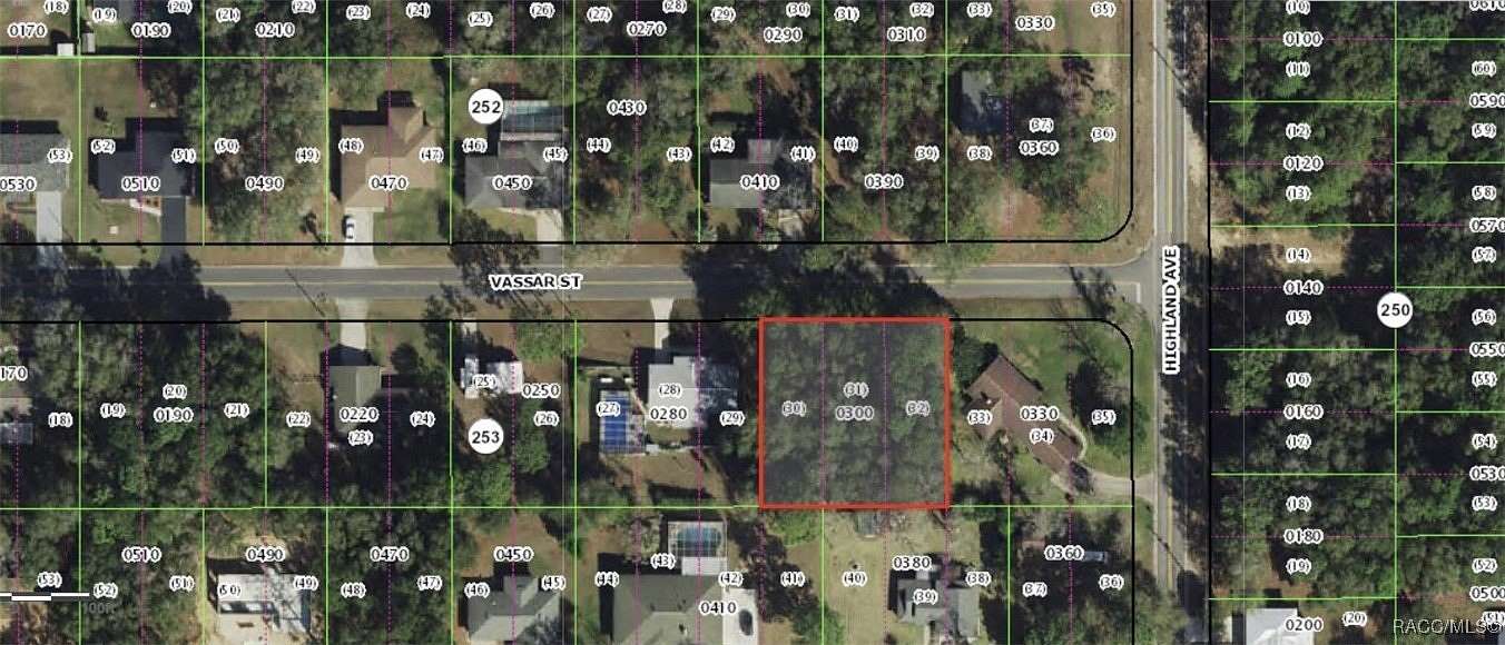 0.33 Acres of Residential Land for Sale in Inverness, Florida