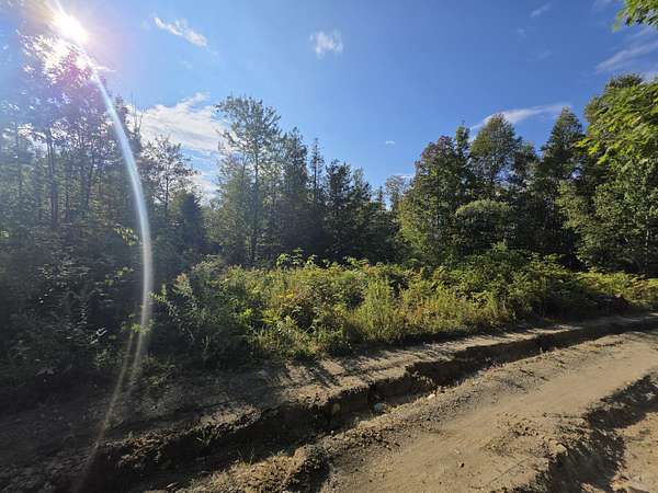 16.2 Acres of Recreational Land for Sale in Saint Albans, Maine