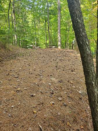 0.1 Acres of Residential Land for Lease in Ellijay, Georgia