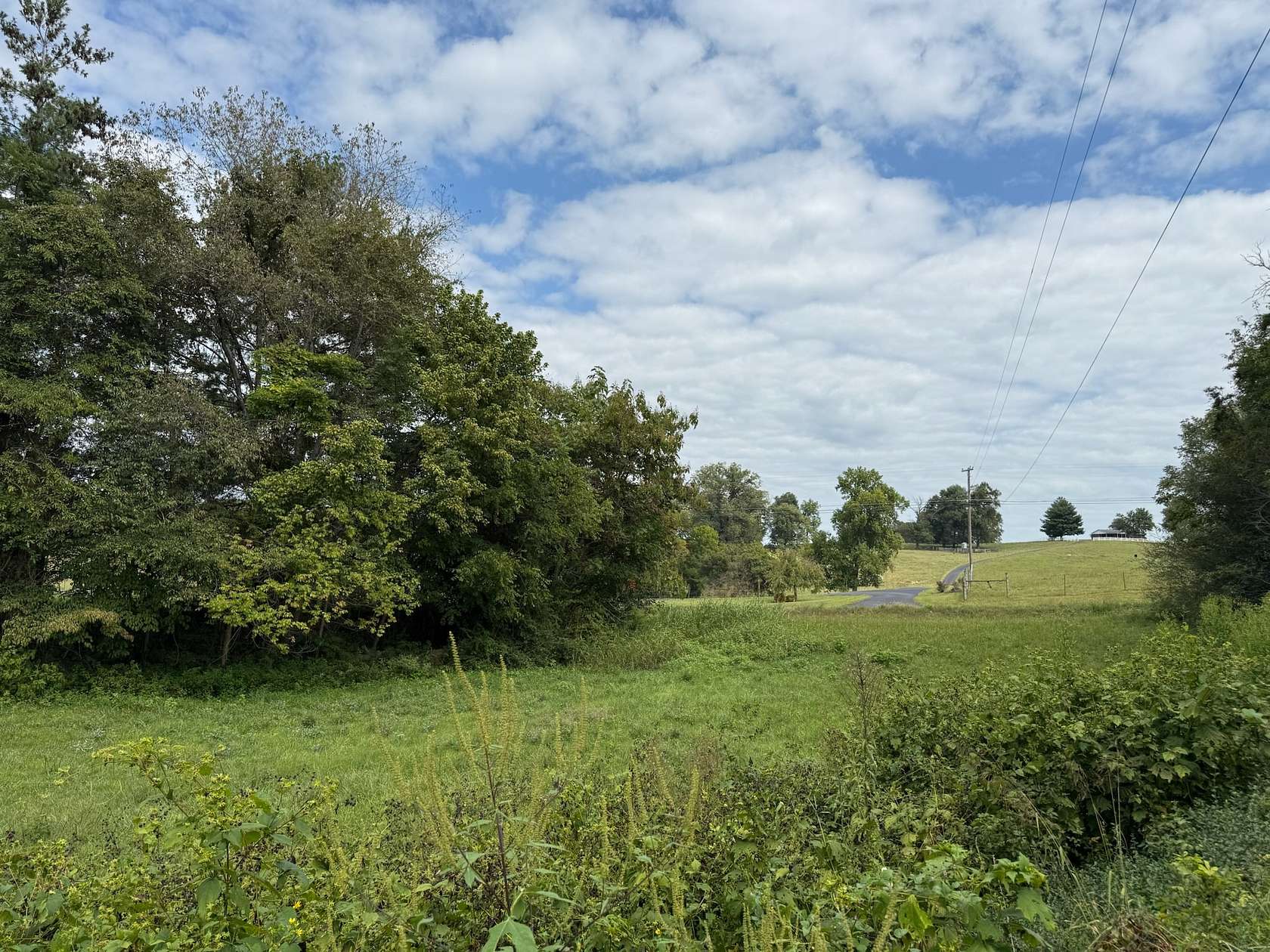 17 Acres of Land for Sale in Tompkinsville, Kentucky
