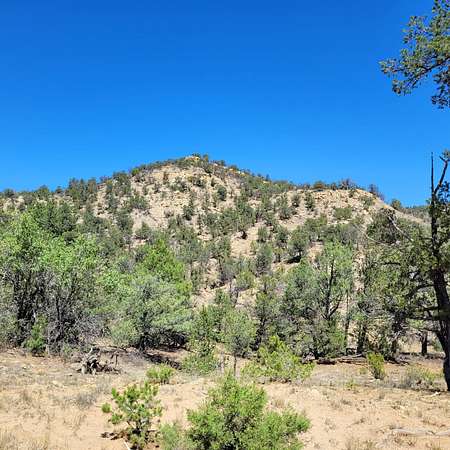 22.8 Acres of Land for Sale in Pie Town, New Mexico