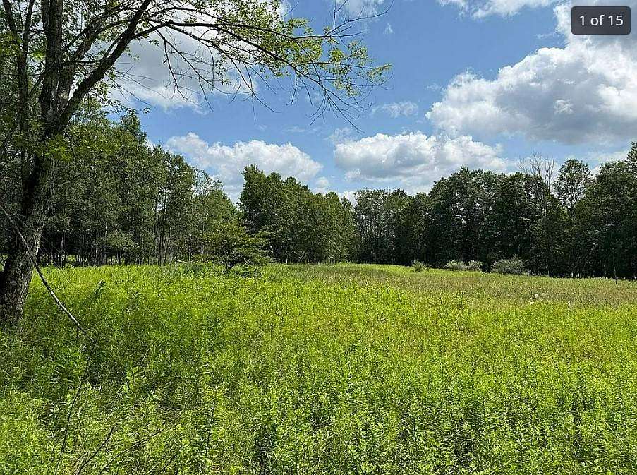 3 Acres of Residential Land for Sale in Fleischmanns, New York