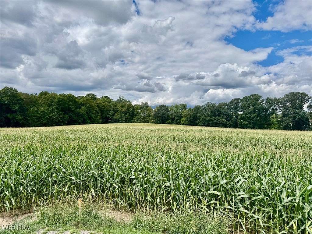 7 Acres of Land for Auction in Medina, Ohio