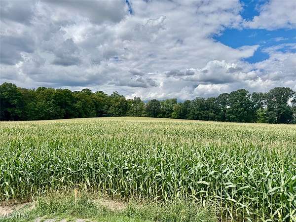 7 Acres of Land for Auction in Medina, Ohio