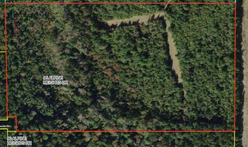 21.5 Acres of Land for Sale in Quincy, Florida