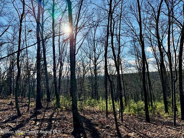 75.9 Acres of Recreational Land for Sale in Hurley, New York
