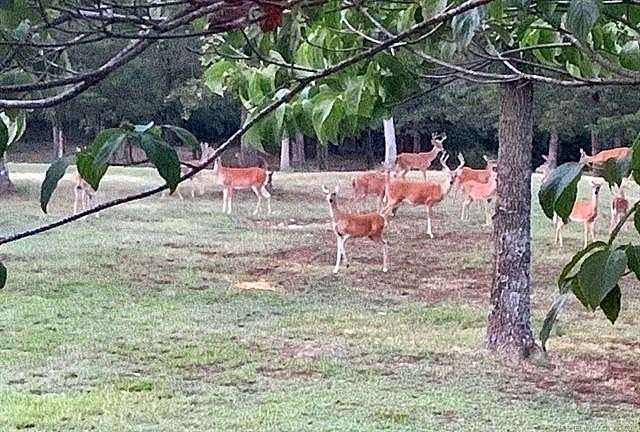 20 Acres of Land for Sale in Fort Gibson, Oklahoma