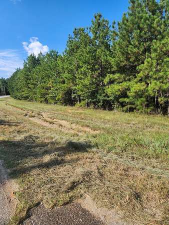 Residential Land for Sale in Lincolnton, Georgia