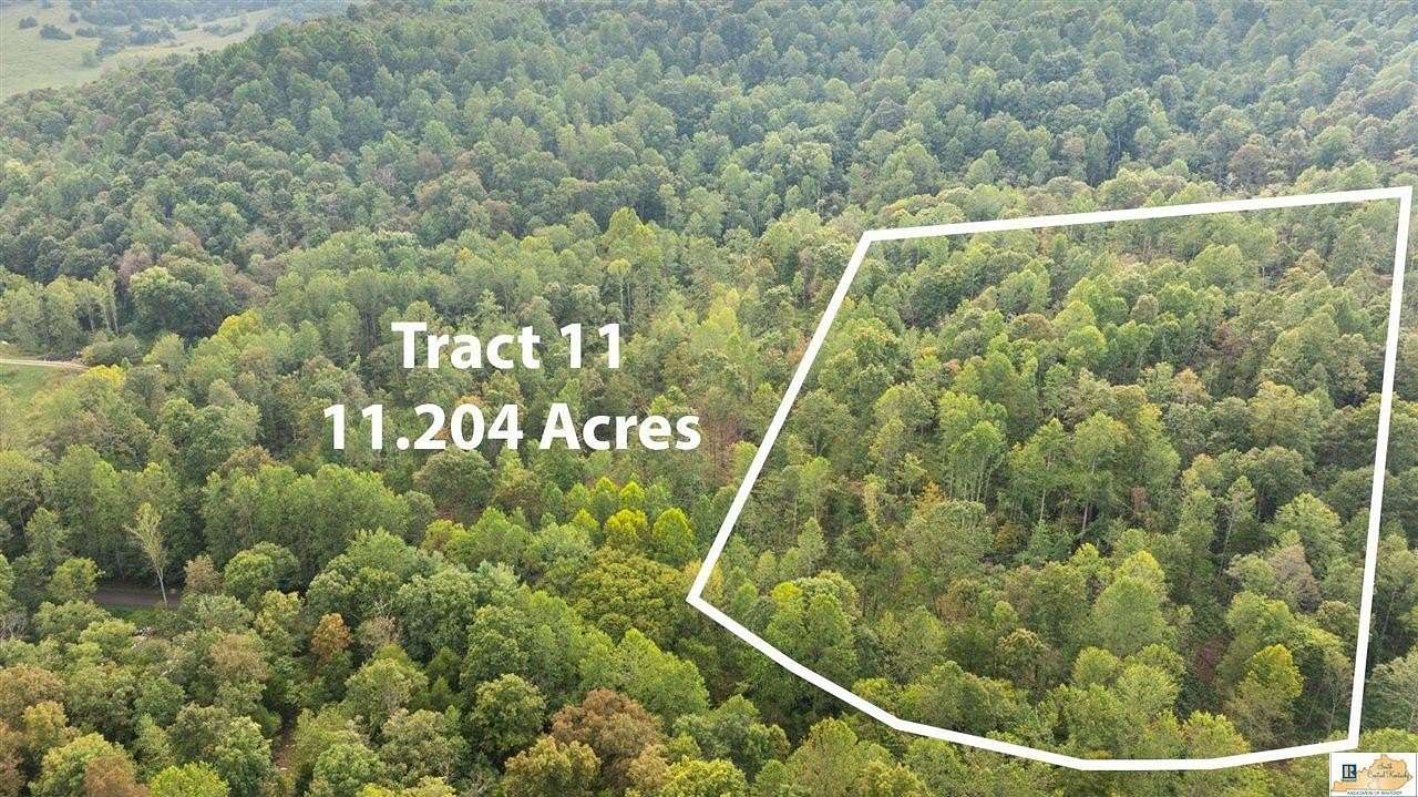 11.2 Acres of Recreational Land for Sale in Bonnieville, Kentucky