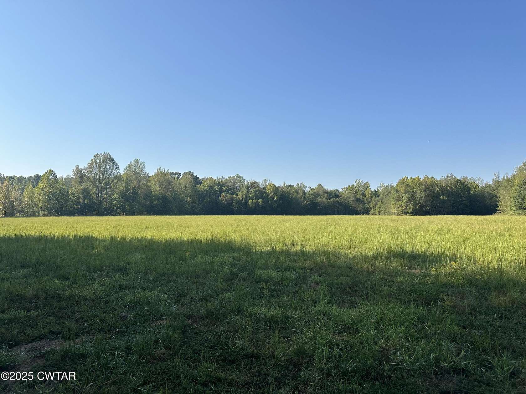 65.9 Acres of Recreational Land for Sale in Henderson, Tennessee