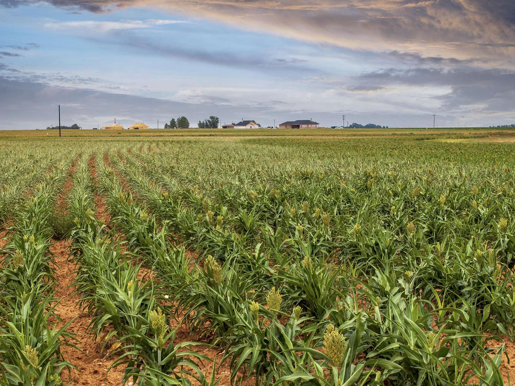 11 Acres of Land for Sale in Ropesville, Texas