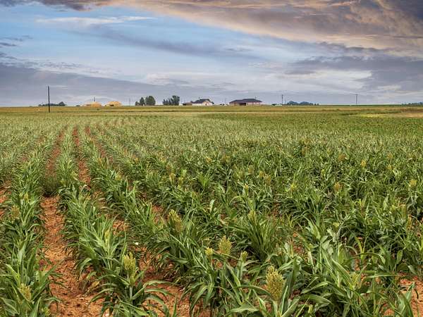 11 Acres of Land for Sale in Ropesville, Texas